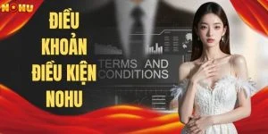 Điều Khoản Điều Kiện NOHU - Tìm Hiểu Về Quy Chế Hoạt Động